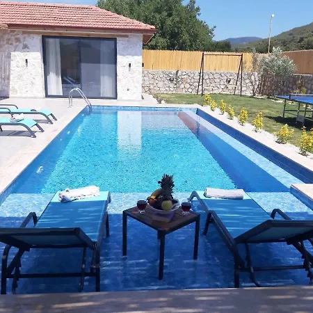 Willa Villa Velsem
