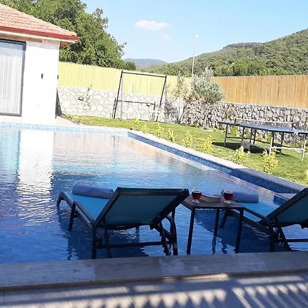 Villa Velsem Willa